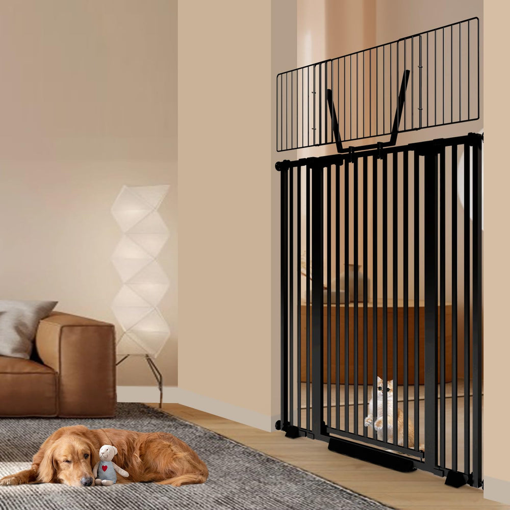 Amibud black finish gate with modern design complements home interiors.