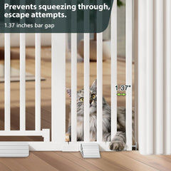 Amibud secure locking mechanism keeps humans in control and pets curious