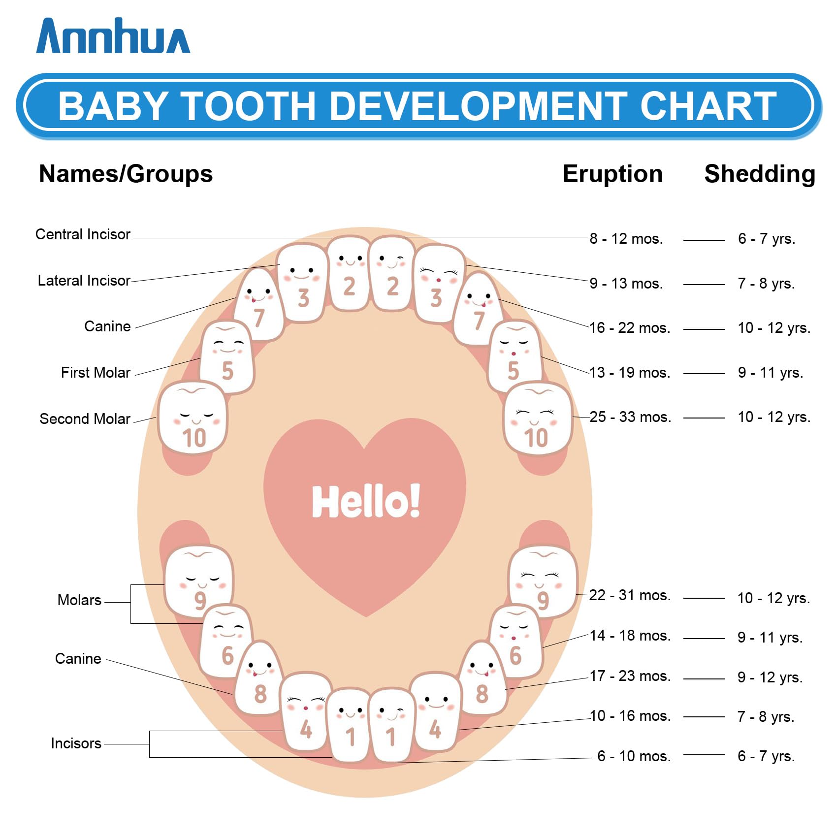 Annhua Tooth Fairy Box compact storage fits nursery shelves