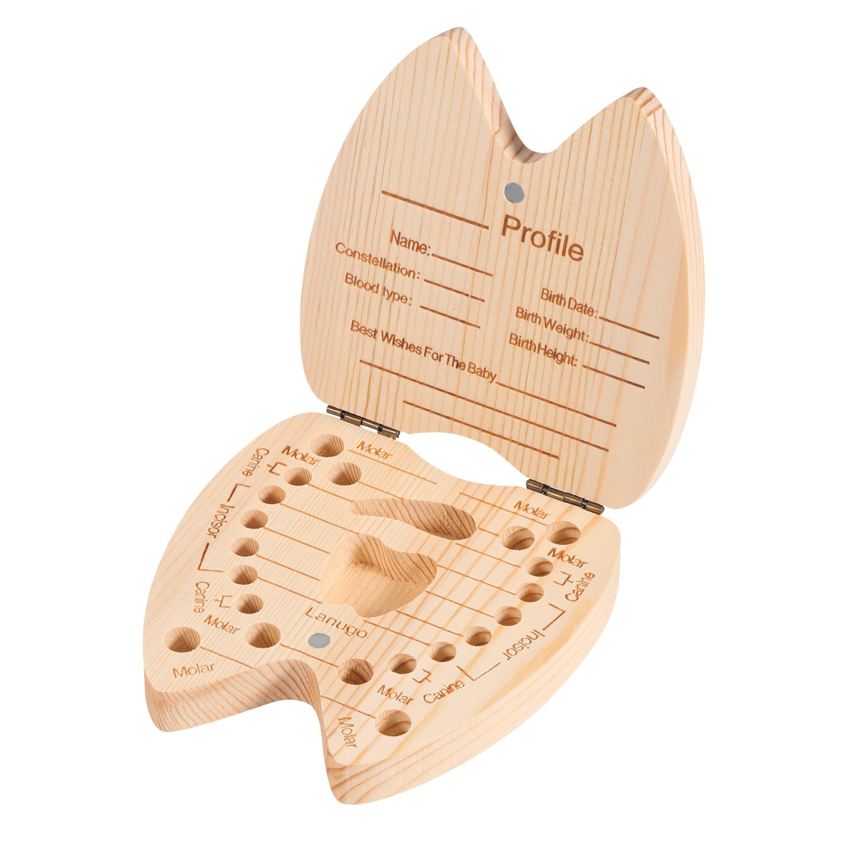 Annhua Tooth Fairy Box outer view shows durable pine and compact storage