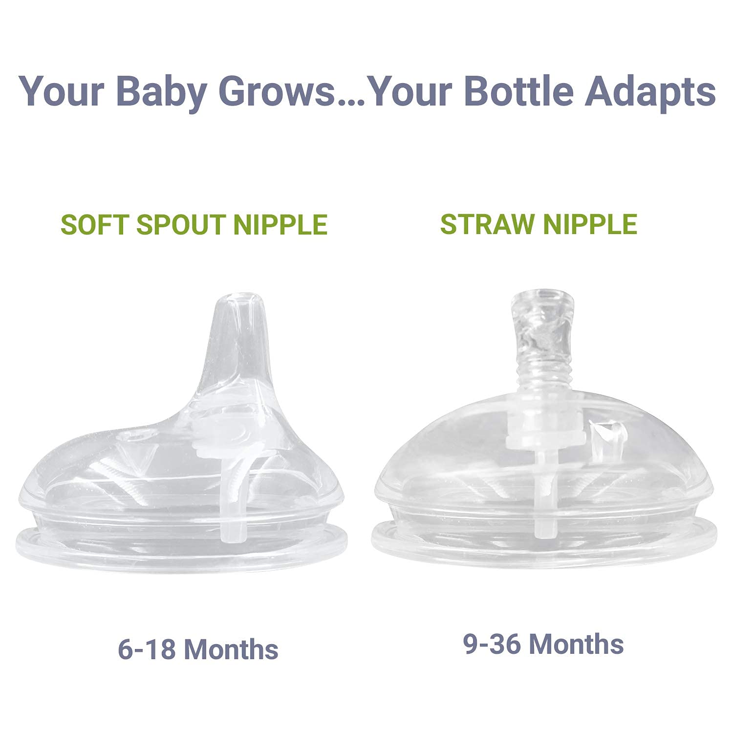 ANPEI compatibility with Comotomo bottles emphasizes easy upgrades without buying new nipples