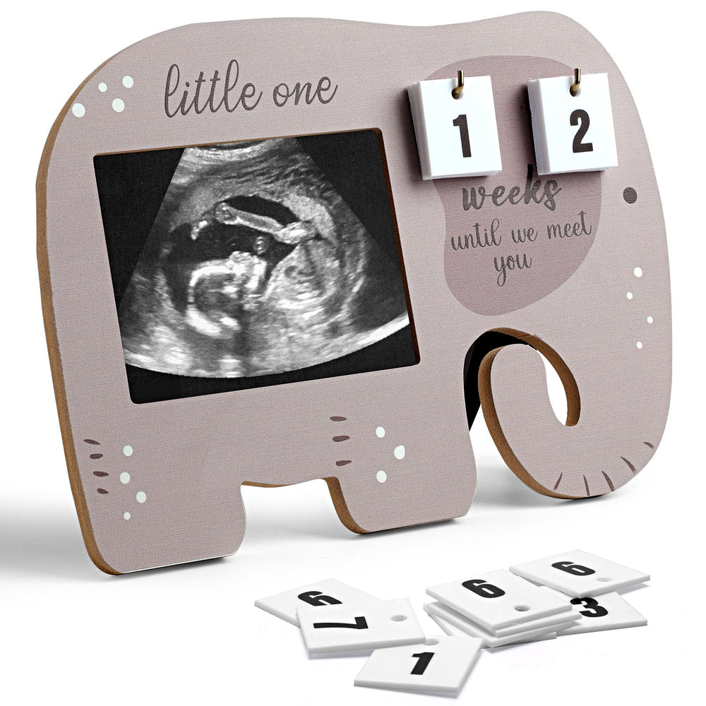 Aosemili sonogram frame elephant close-up showcasing ultrasound keepsake in clear display