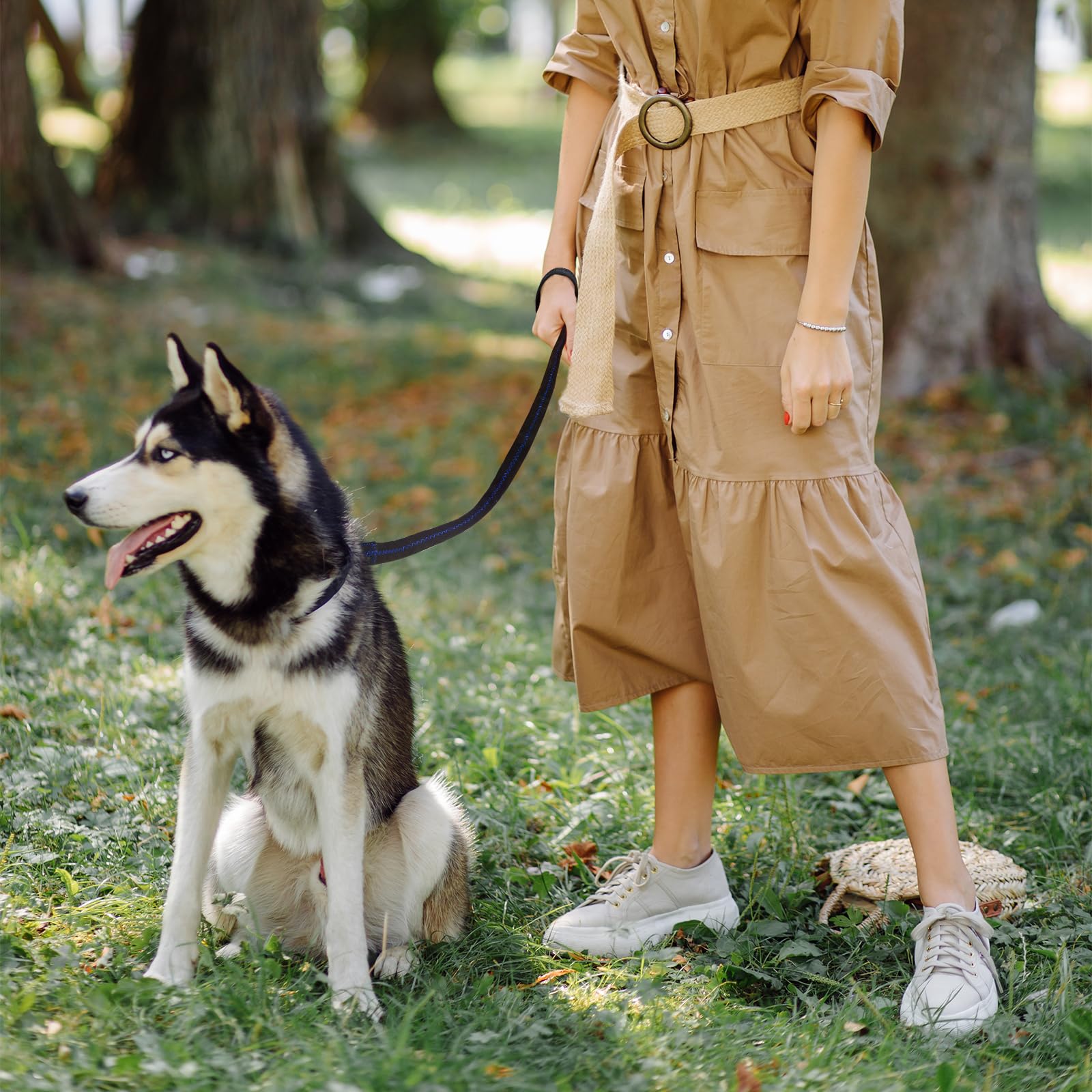 APBFH retractable-dog-leash-security-strap adds gentle security for dogs during walks