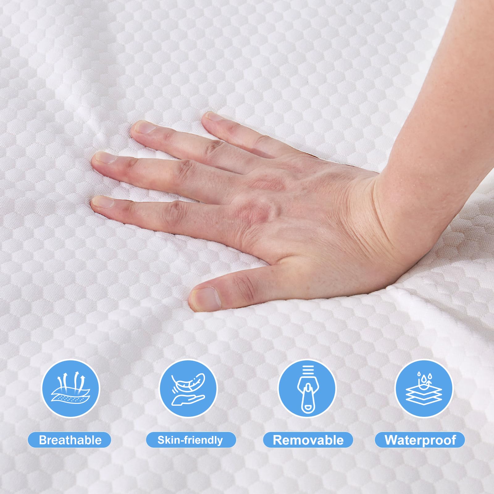 ASANEST removable cover simplifies washing and upkeep