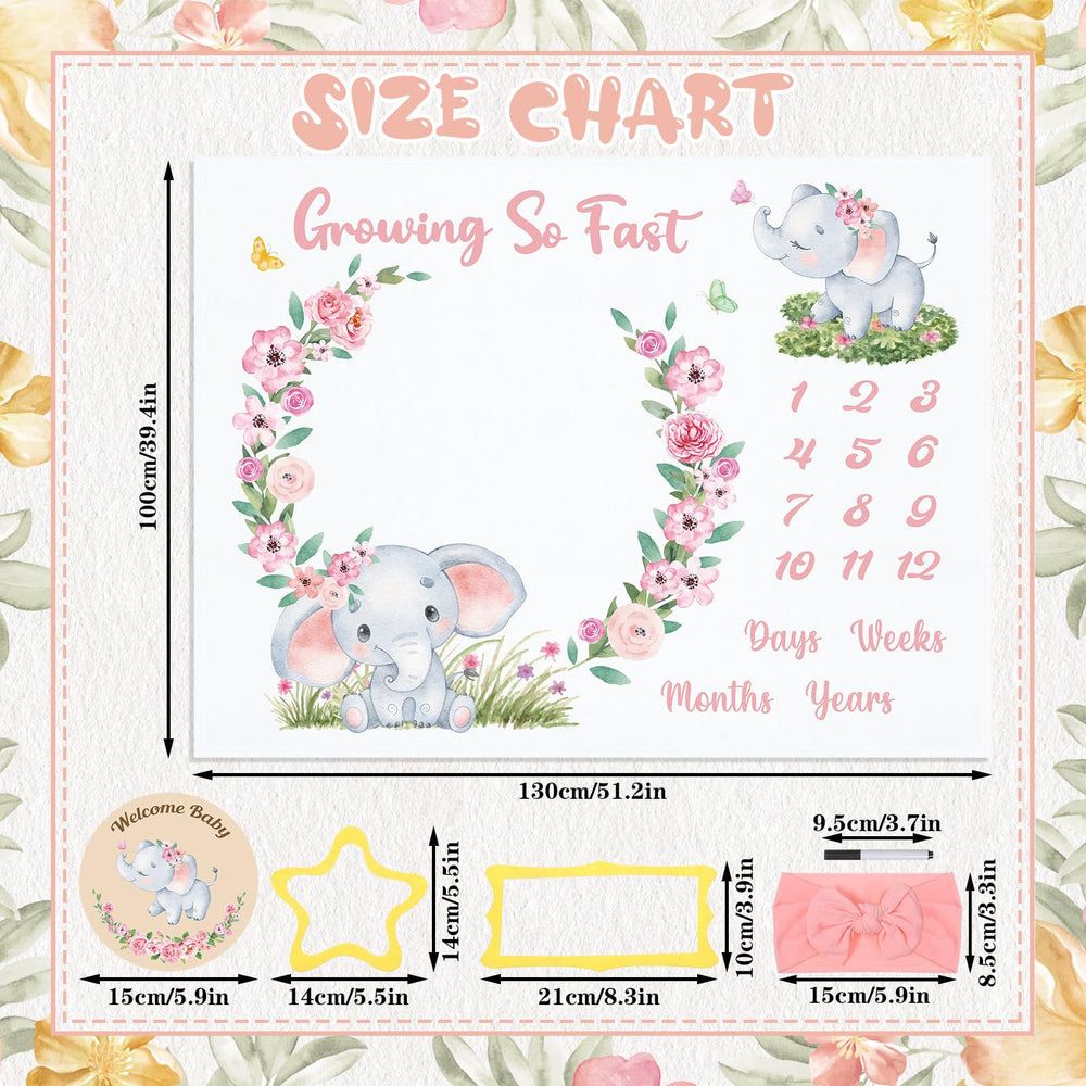 Auidy_6TXD milestone signs help mark each stage during beautiful baby photos.
