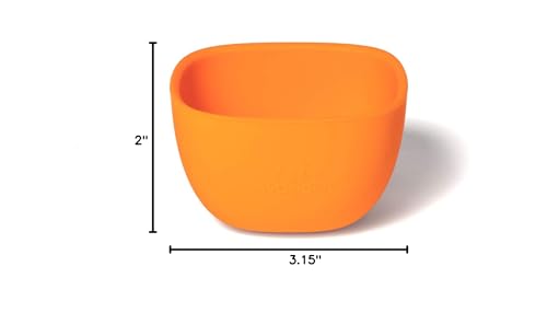 Avanchy dishes ideal for solids and finger foods.