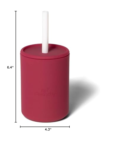 Avanchy travel-ready magenta cup for on-the-go sipping