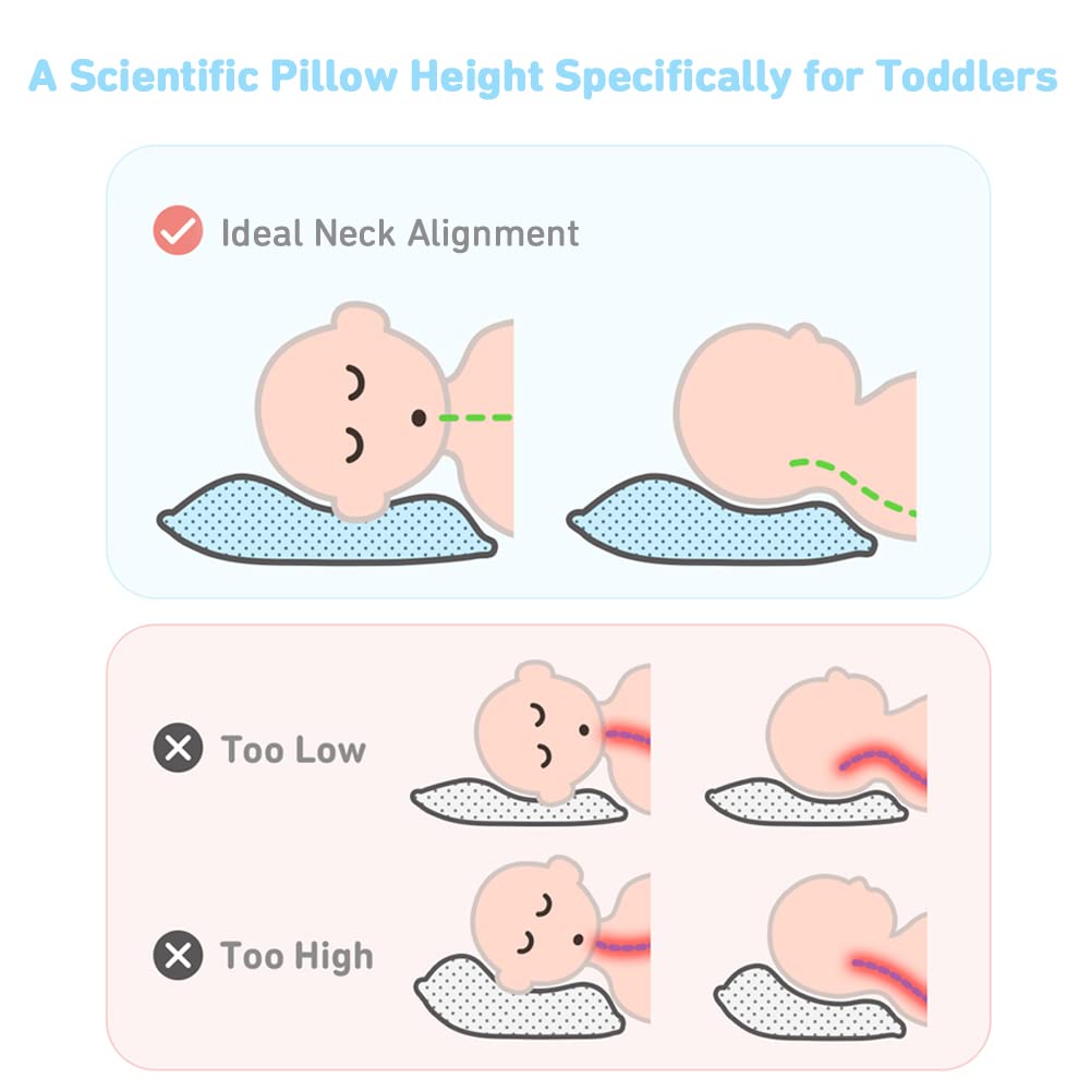 Babebay 13x18 pillow size ideal for toddler naps on car trips.
