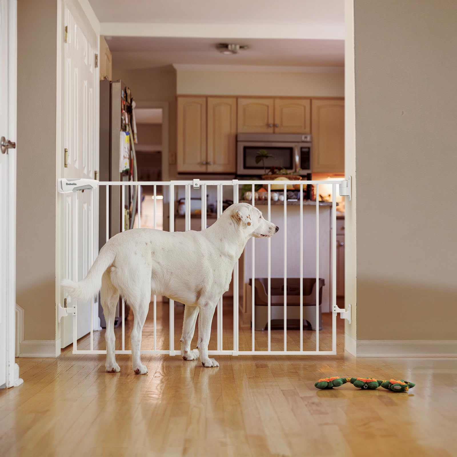 BABELIO 24/7 support ensures help with installation and maintenance