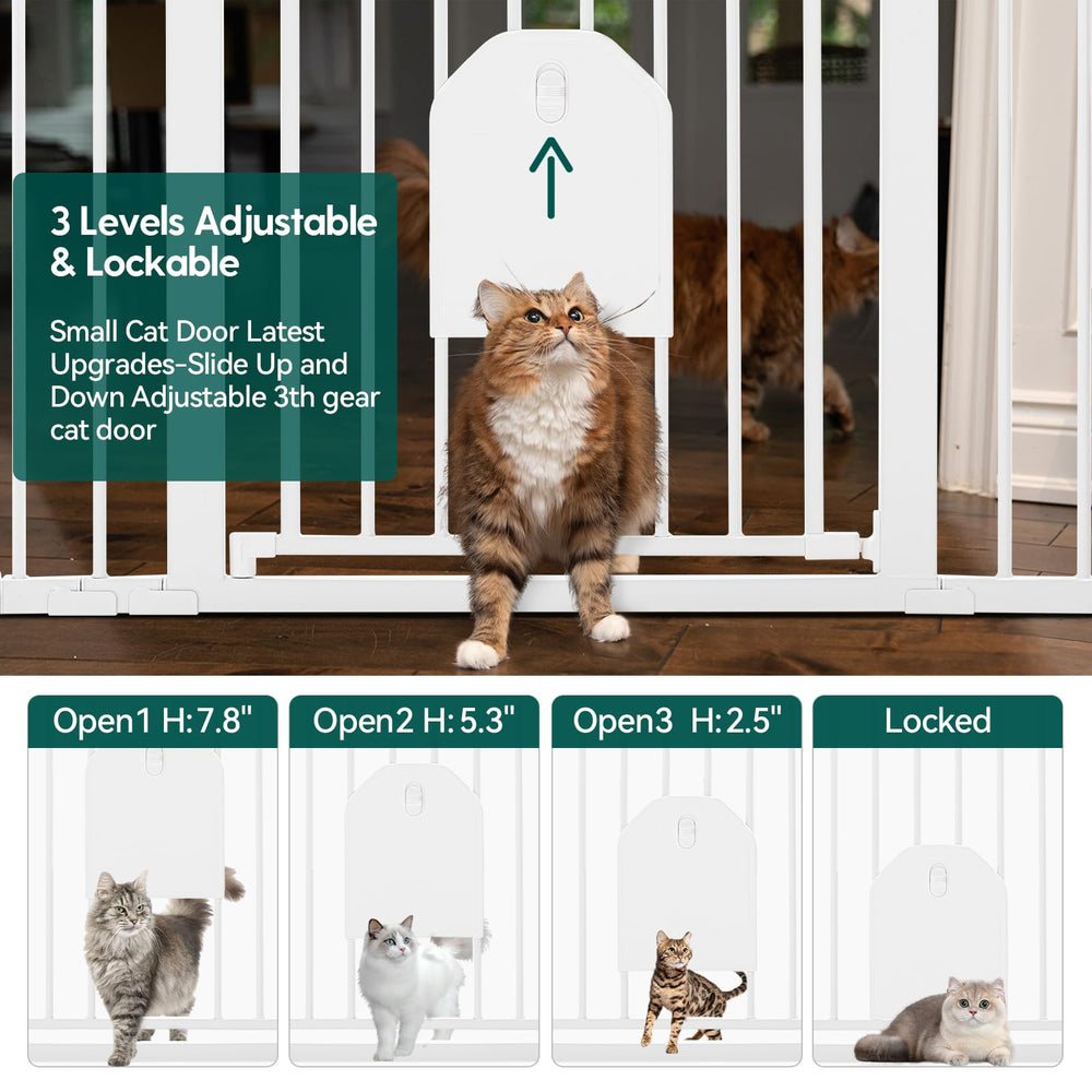 BABELIO auto-close feature ensures gentle door action for busy households.