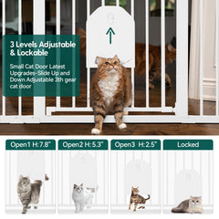 BABELIO auto-close feature ensures gentle door action for busy households.