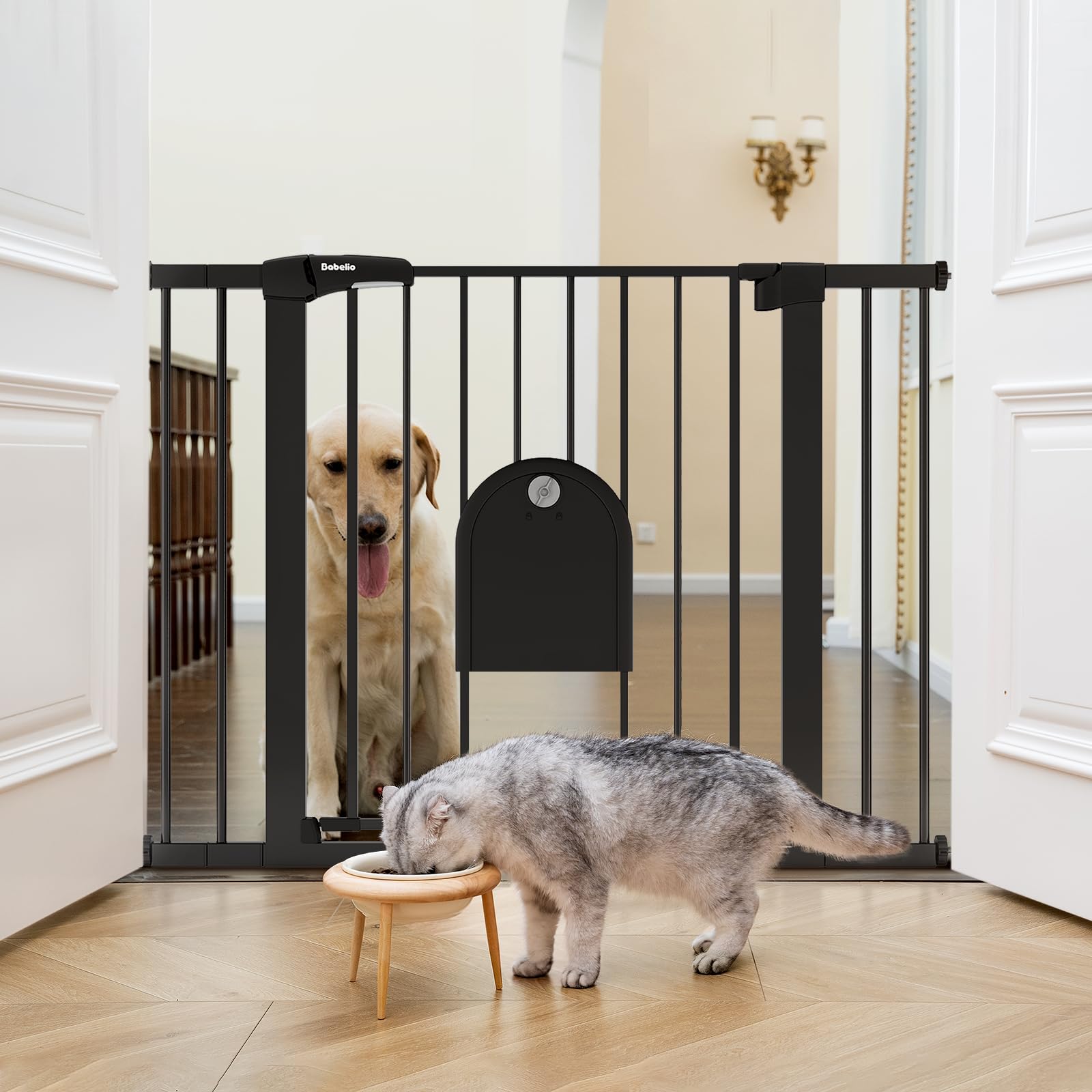 BABELIO gate-cat-door-adjustable in action keeps cats safe at doorways.