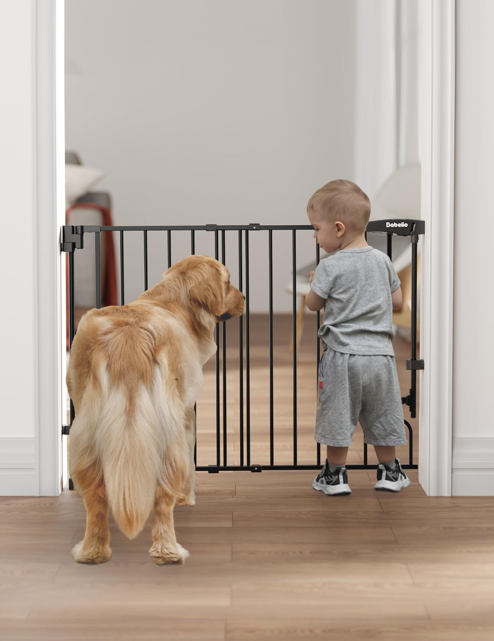 Babelio black finish gate blends with décor and controls entrances.