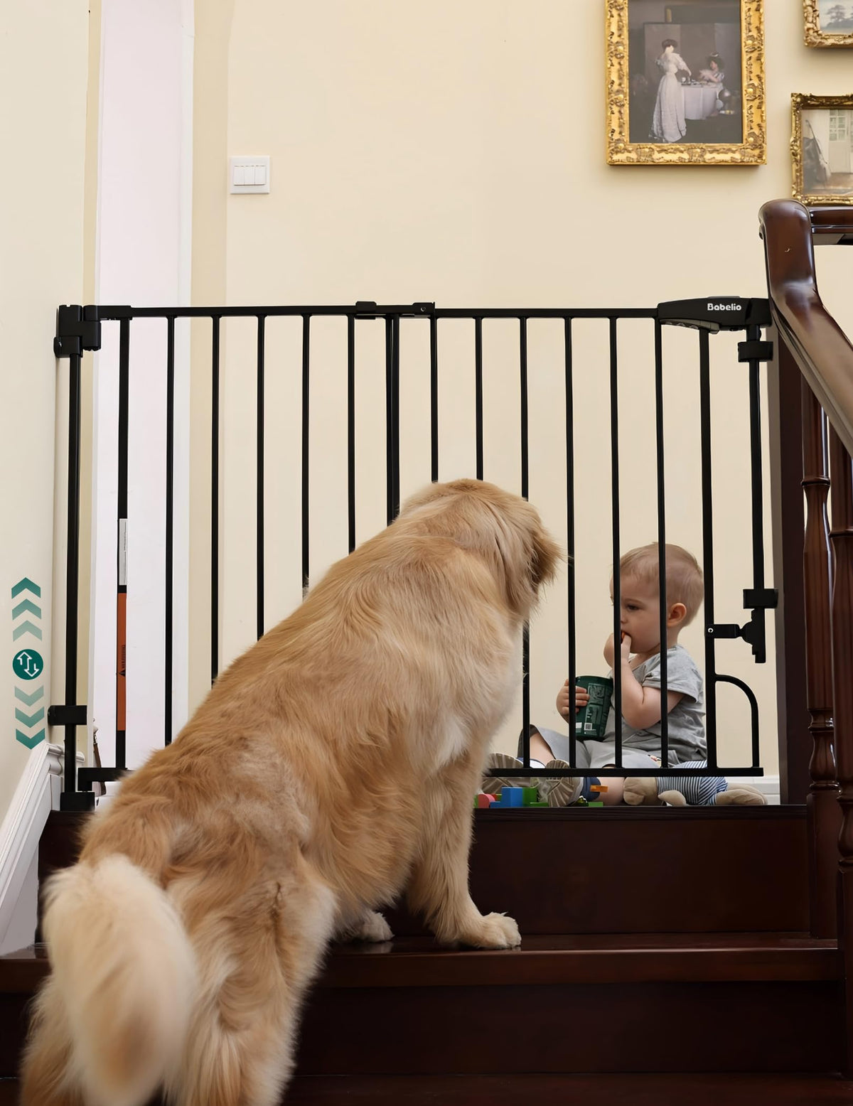 Babelio boundless gate assembly on stairs showing no bottom bar for safer passage.