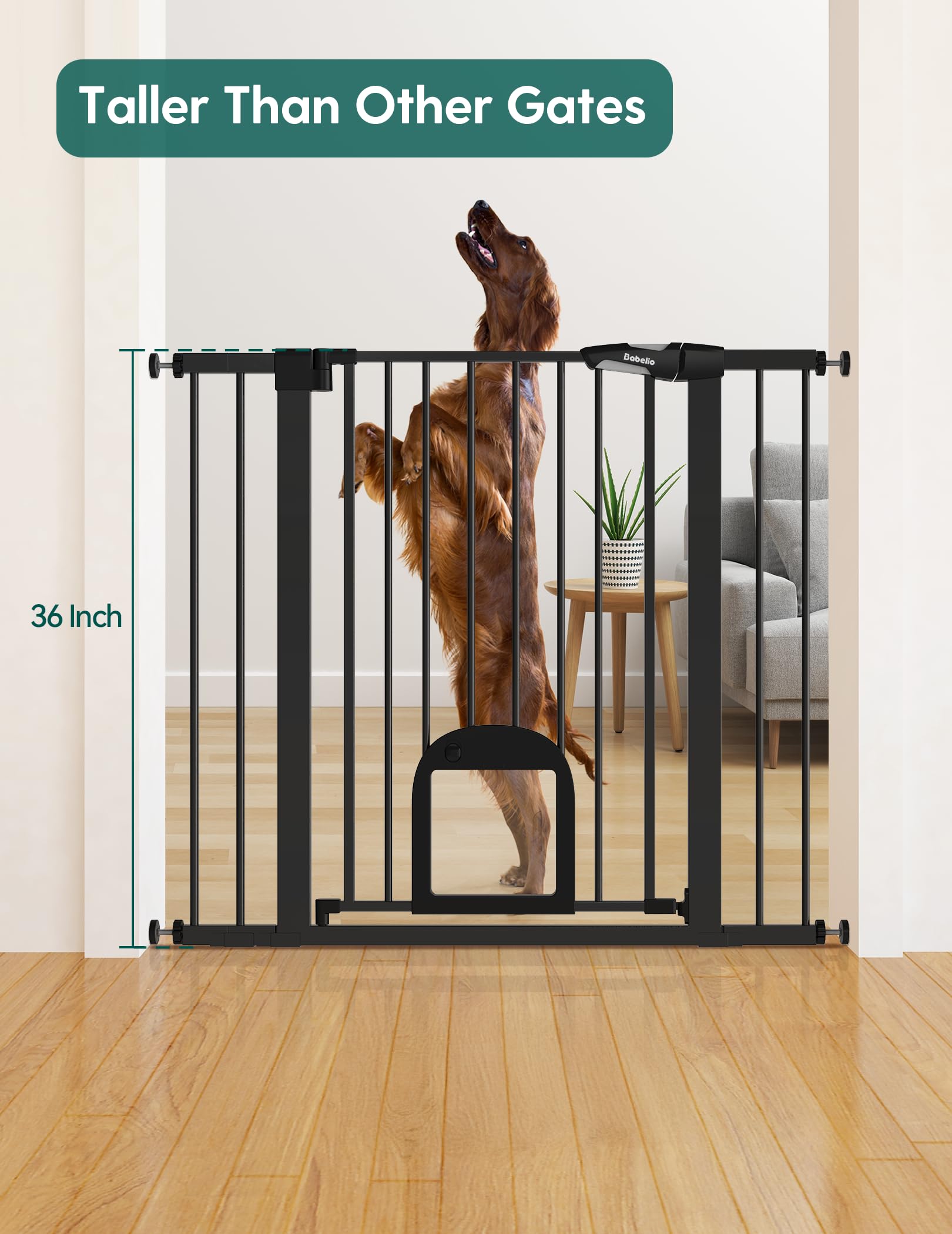 BABELIO cat door adjustable, two levels, easy pet passage.