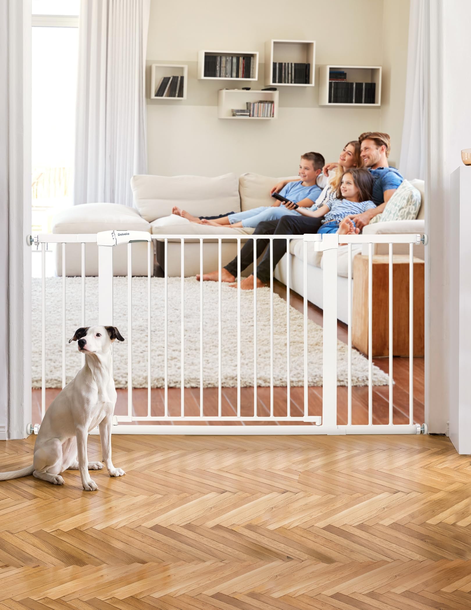 BABELIO gate auto-close walk-through shows quick barrier after you