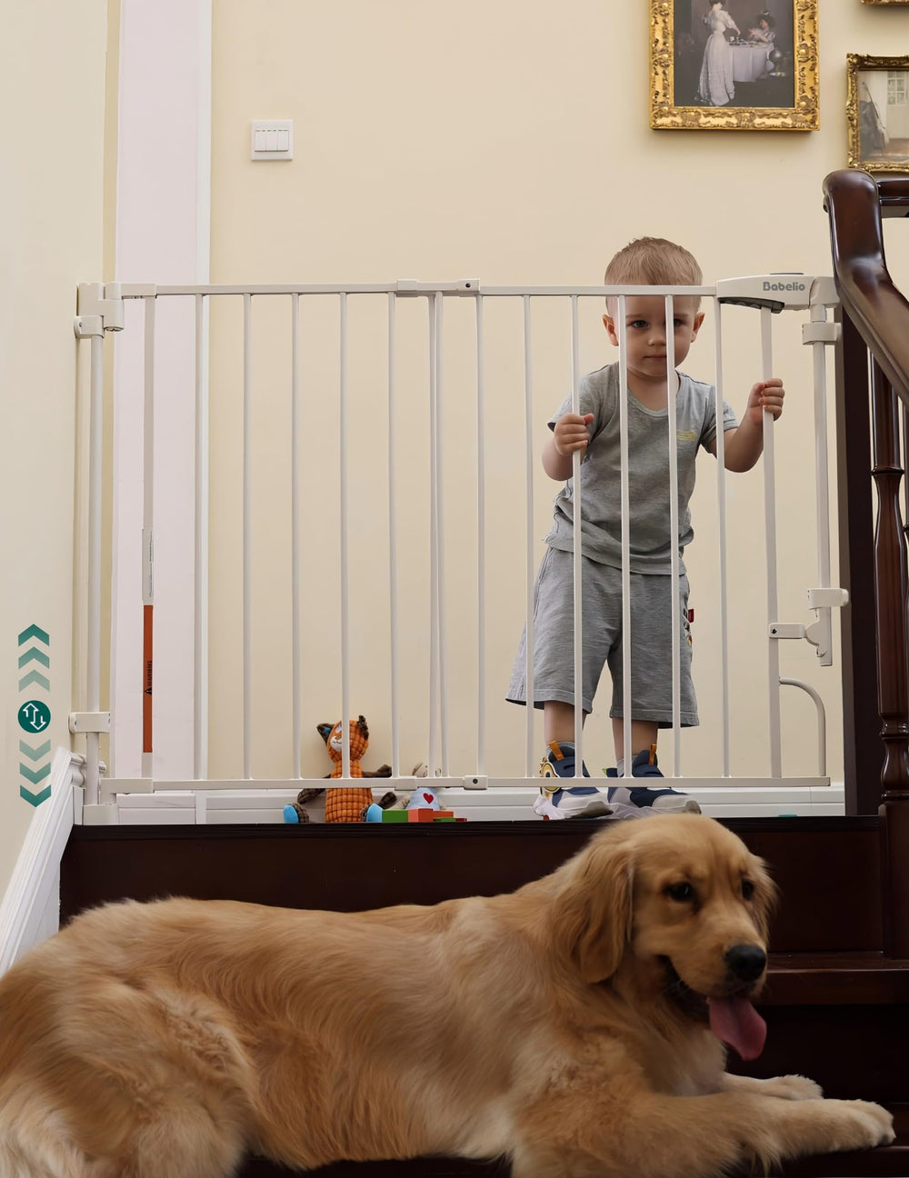 Babelio intermittent-use gate suitable for grandkids visits or pet homes