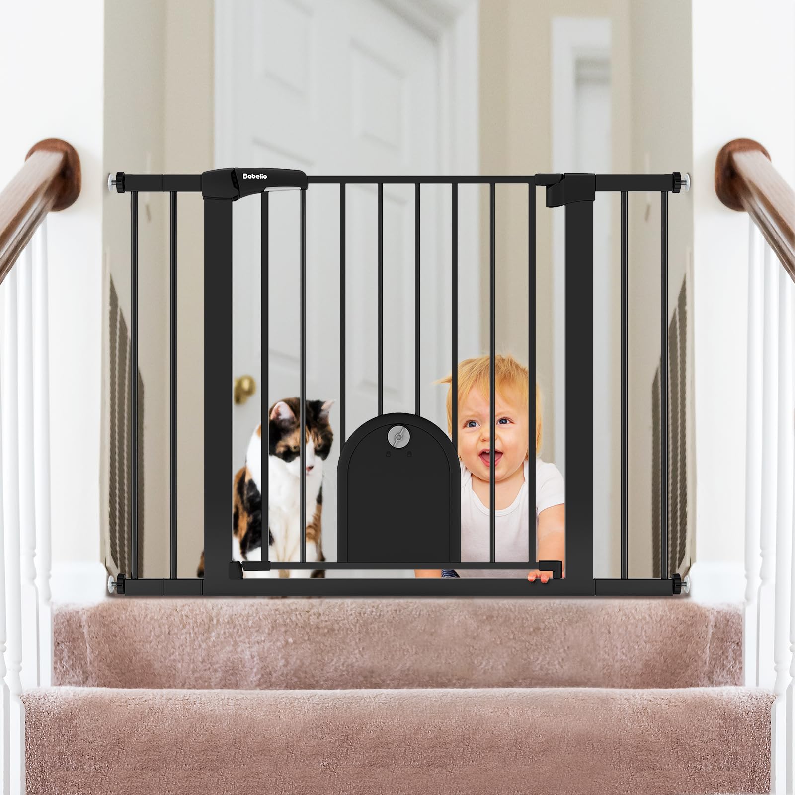 BABELIO multi-pet safe-entry feature supports contained pet zones.