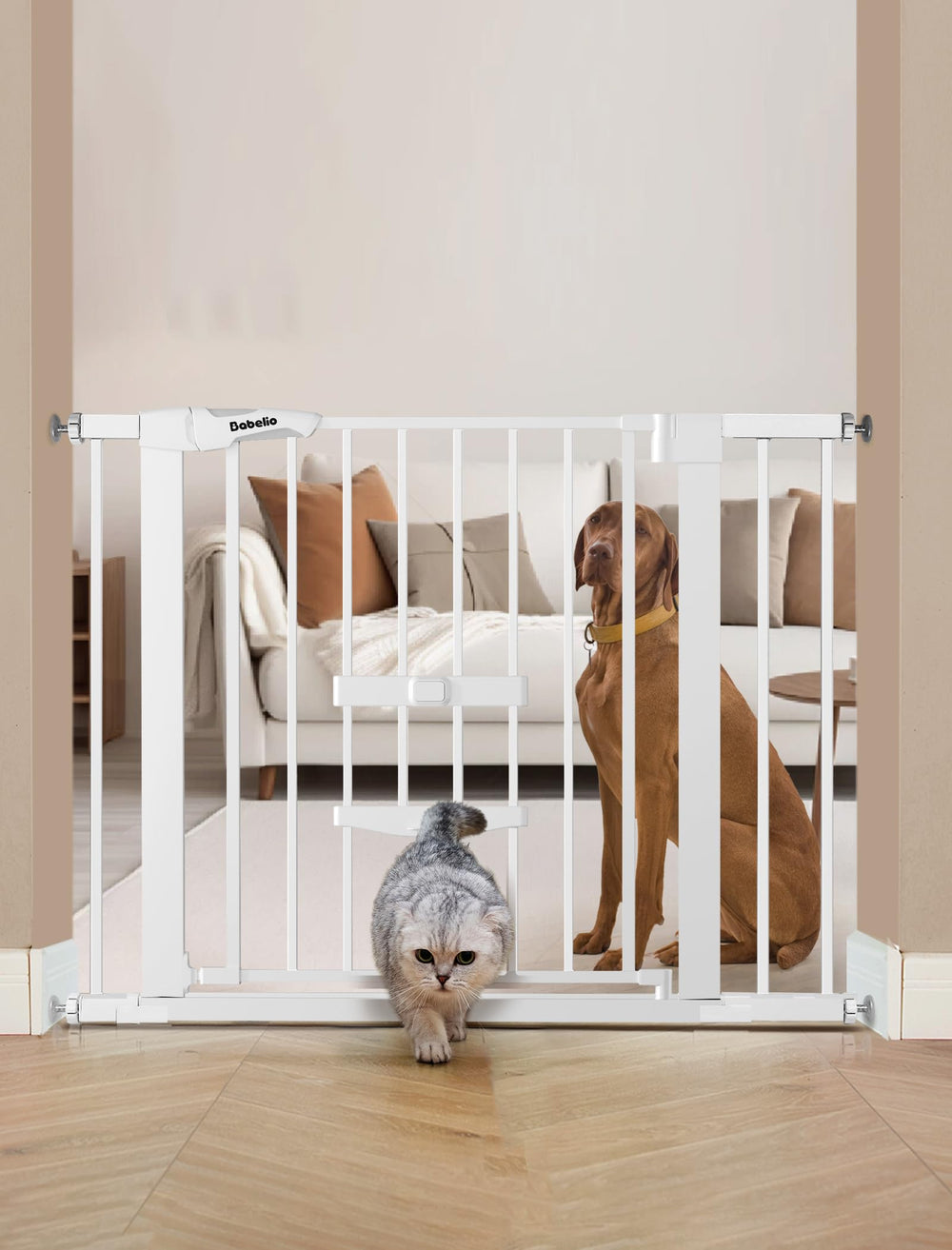 BABELIO new version baby gate cat door assembly shows tool-free setup for stairs