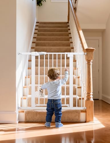 BABELIO PressGuard C5 auto-close mechanism for hands-free, secure doorway closure