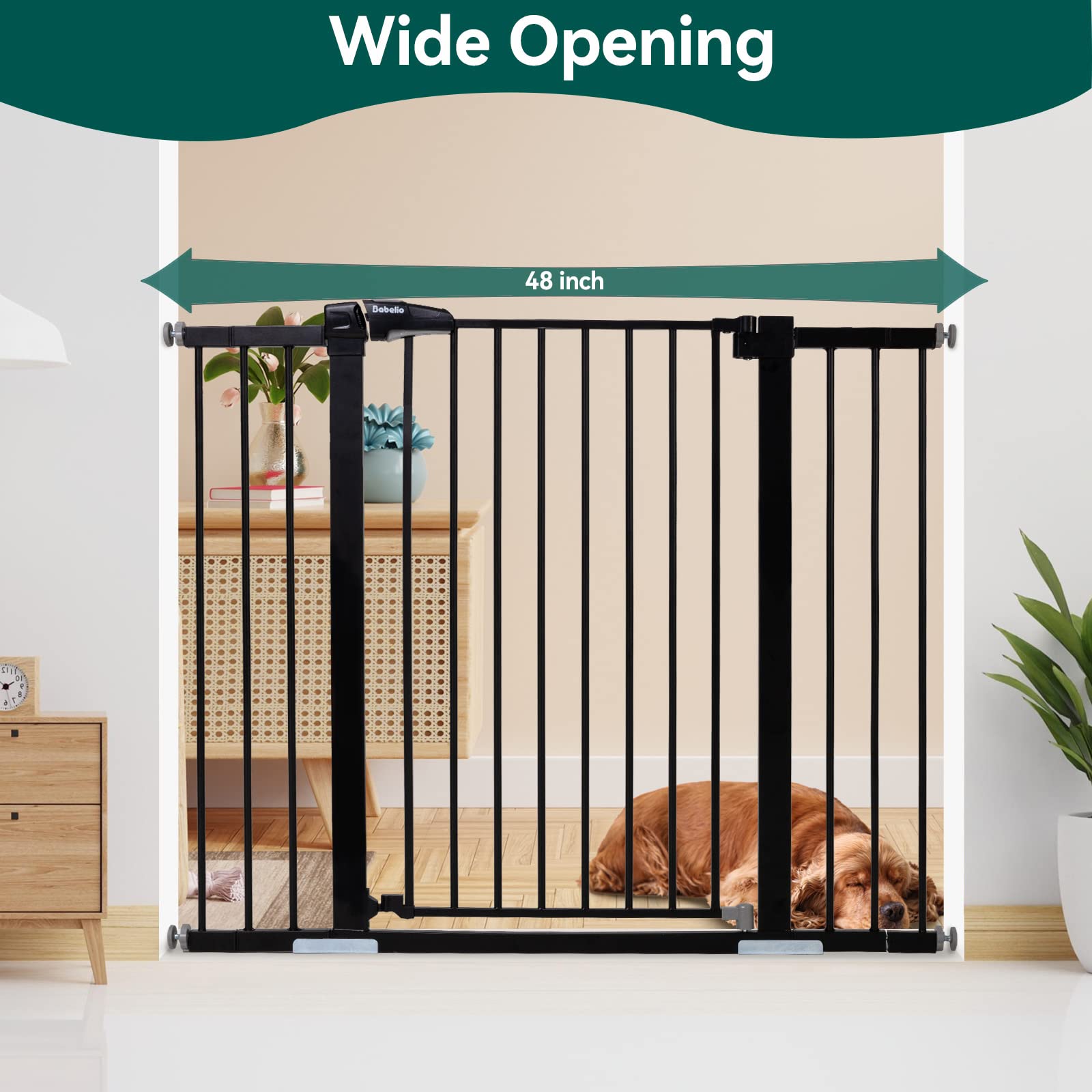 BABELIO PressGuard P7 walk-through door with secure double-lock