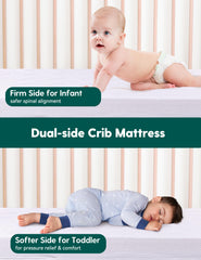 BABELIO standard crib mattress fits 52x27.5x6 cribs for easy compatibility.