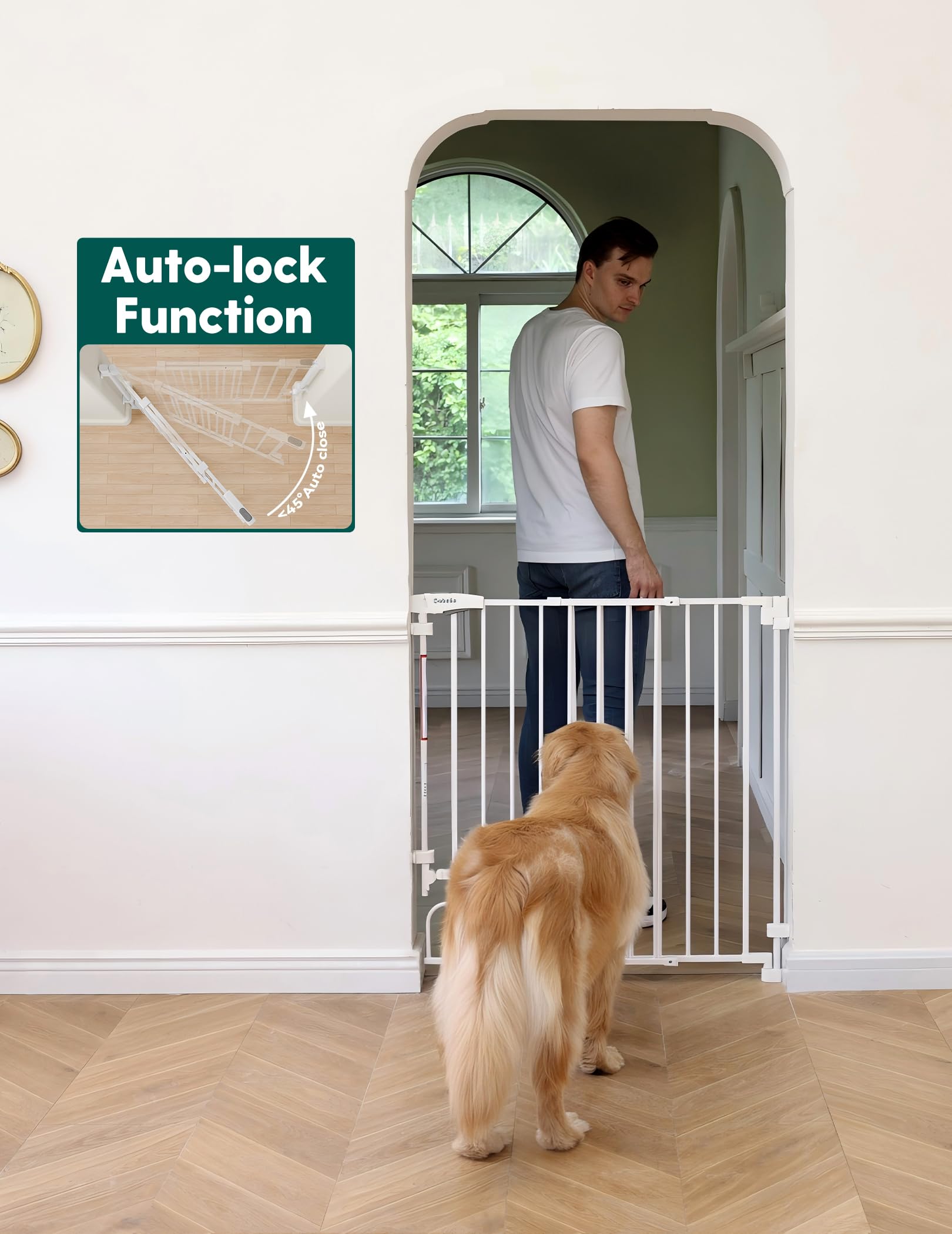 Babelio steel double-lock safety design offers sturdy protection against curious pets and toddlers