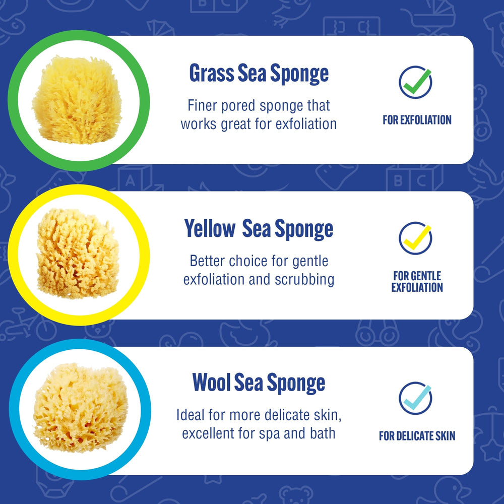 Baby Buddy biodegradable sea sponge – eco-friendly bath time option.