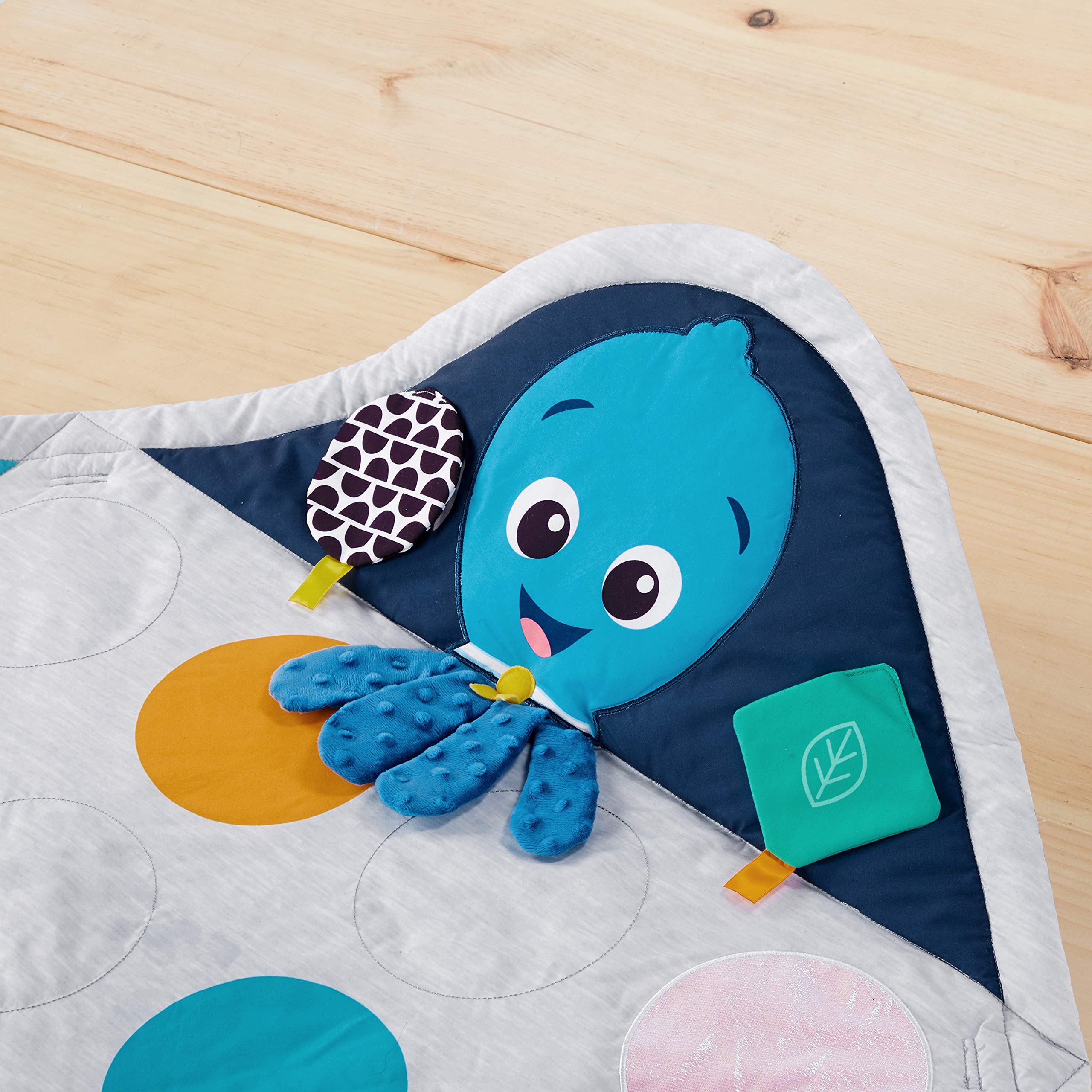 Baby Einstein Sensory Play Space milestone blocks document monthly growth