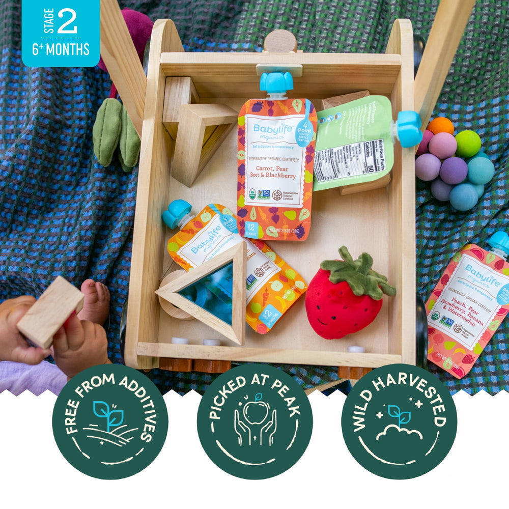 Babylife Organics Stage 2 spoon with puree image illustrating feeding moment.