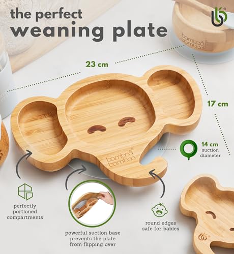 Bamboo Bamboo plate suction base close-up shows secure attachment for table meals.
