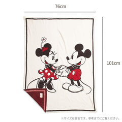 Barefoot Dreams CozyChic Disney blanket crib-setup highlights generous 30x40 size for safe naps.
