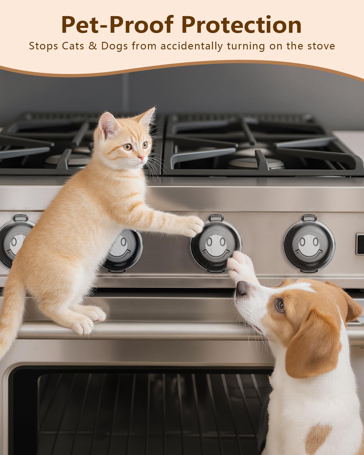 BBsecure semi-transparent design keeps temperature indicators visible while deterring curious pets
