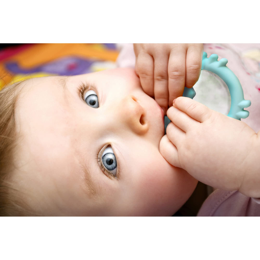 Bebe Mondo teething toy crab teether clip ready for on-the-go.