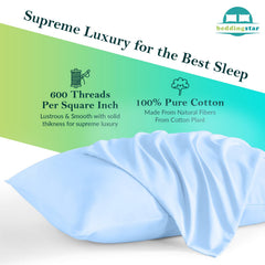 beddingstar travel pillow case 2-pack light blue demonstrates budget-friendly convenience