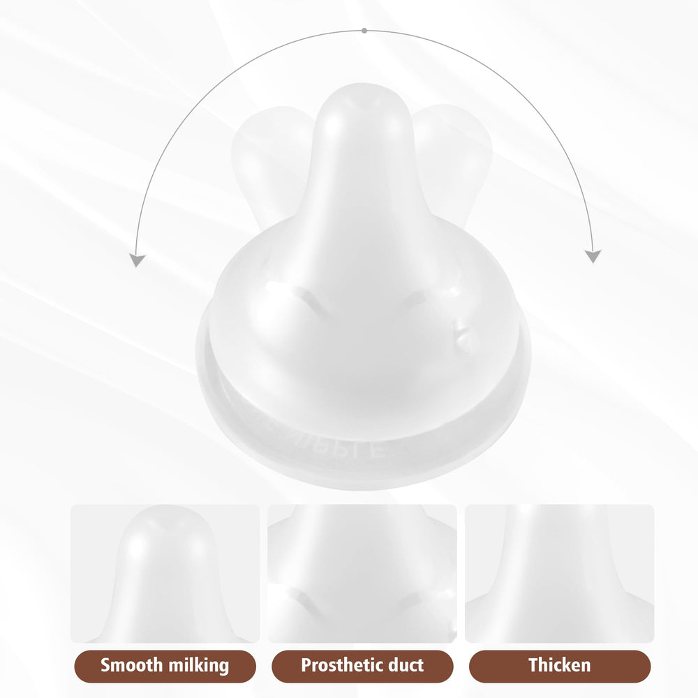 Beilastarx glass bottle top-rack dishwasher safe for quick cleanup