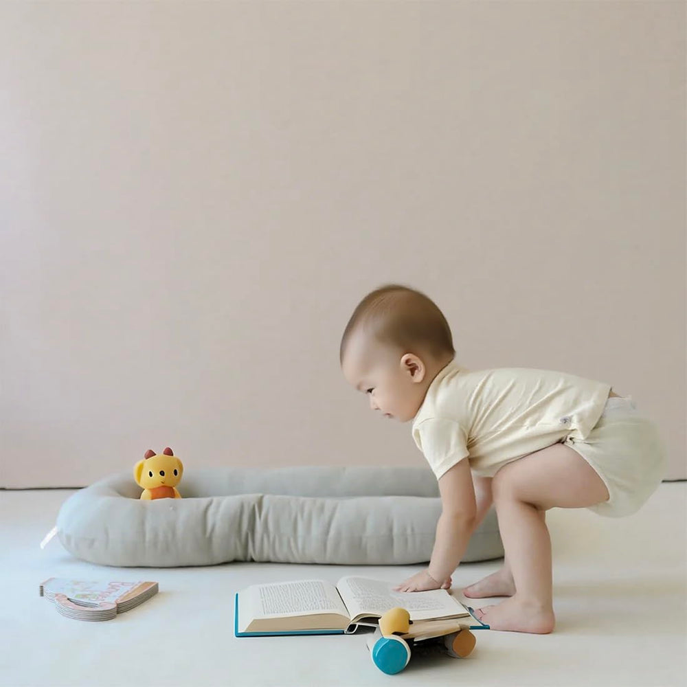Beisurznga Baby Lounger 0-24 months-use shows growth-friendly transition