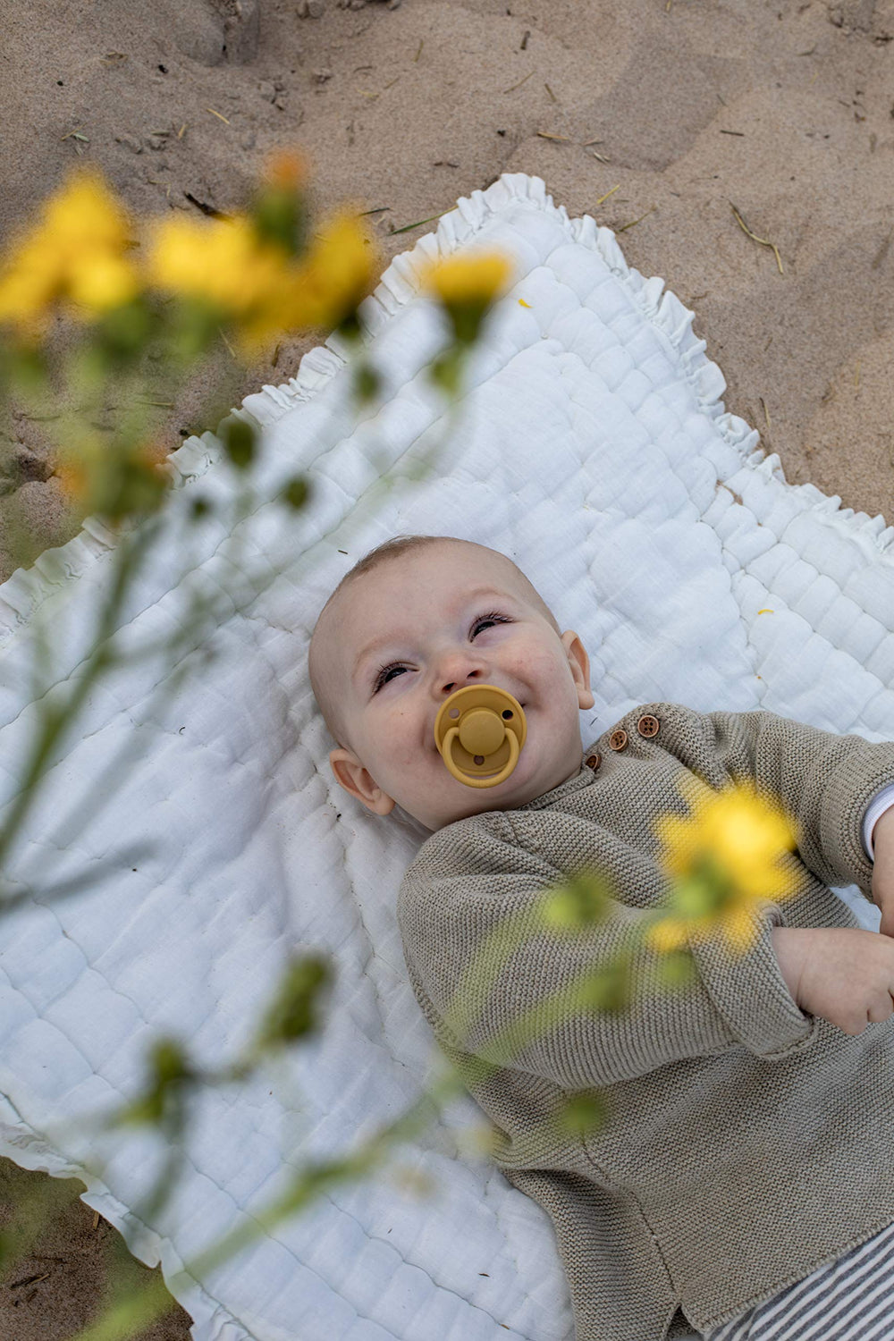 BIBS De Lux safe materials label, BPA-free and non-toxic assurance.