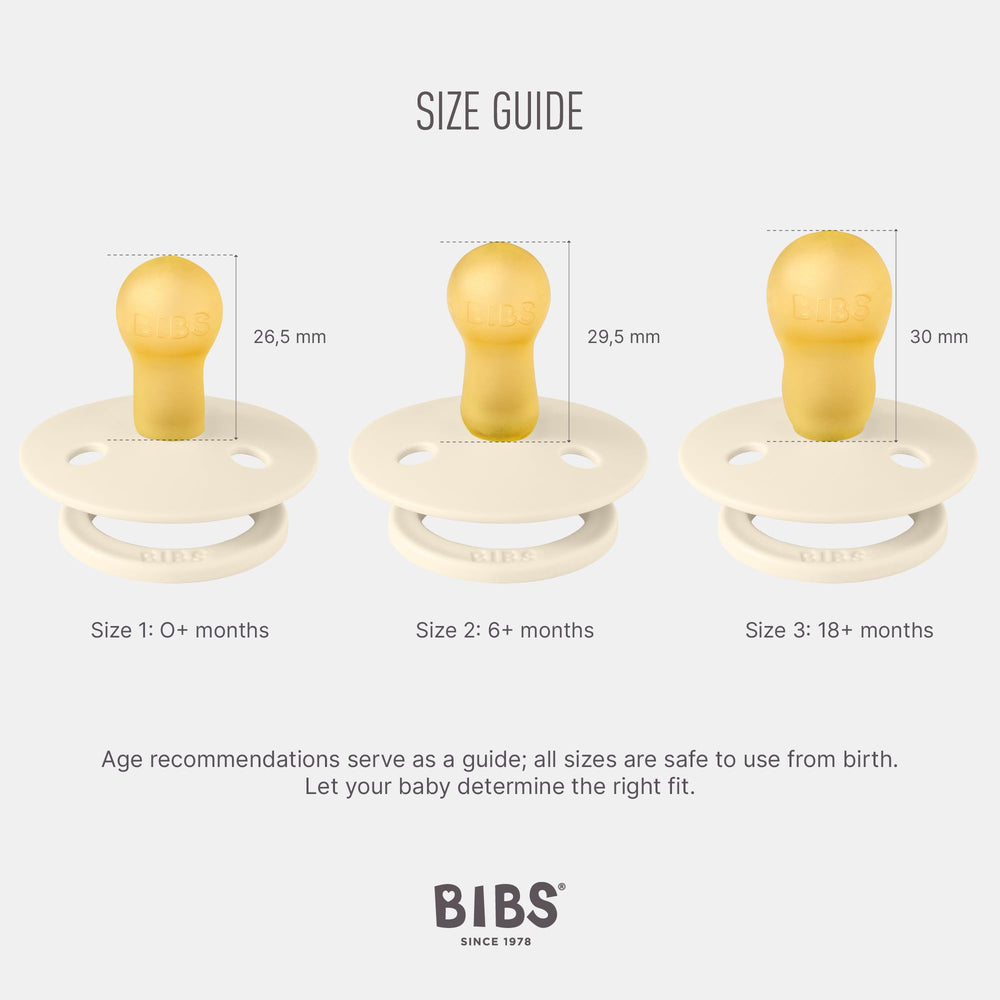 BIBS pacifiers sage packaged set demonstrates two BPA-free soothers for newborns
