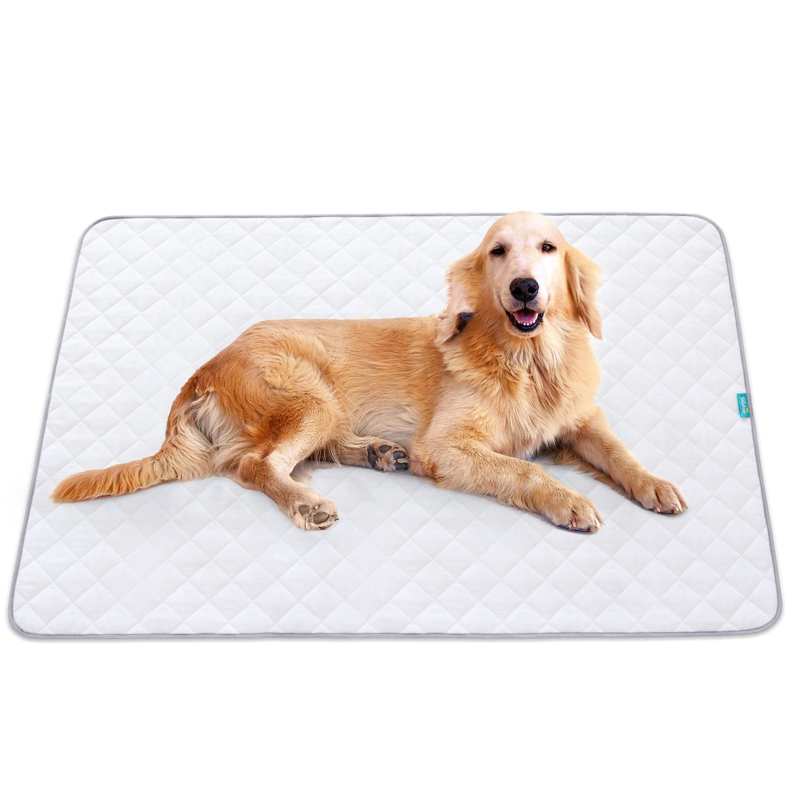 Biloban washable mattress protector in laundry setting for easy care