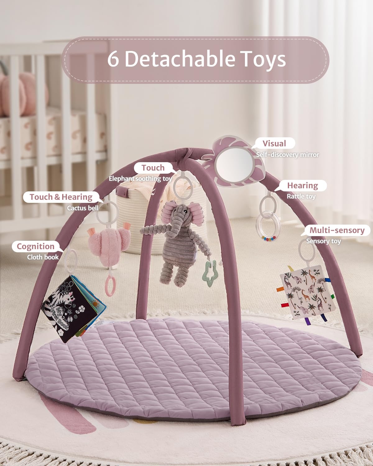Blissful Diary Baby Play Gym Mat self-discovery mirror focuses early cognition during floor time