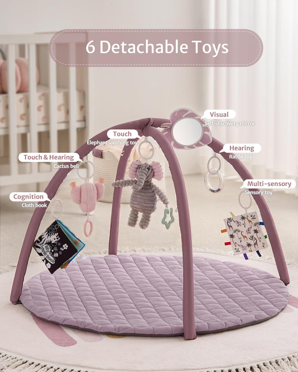 Blissful Diary Baby Play Gym Mat self-discovery mirror focuses early cognition during floor time