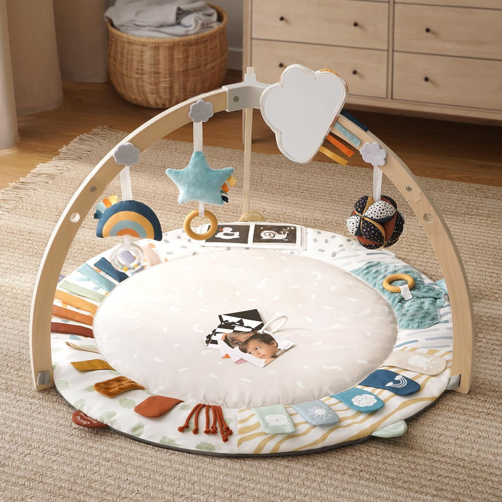 Blissful Diary Play Gym 5-zones layout highlights varied developmental areas for early learning.