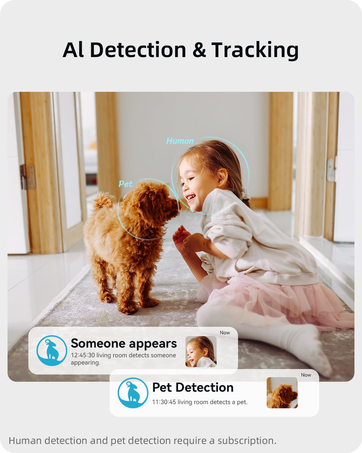 Blurams AI detection alerts notify motion or people for immediate awareness