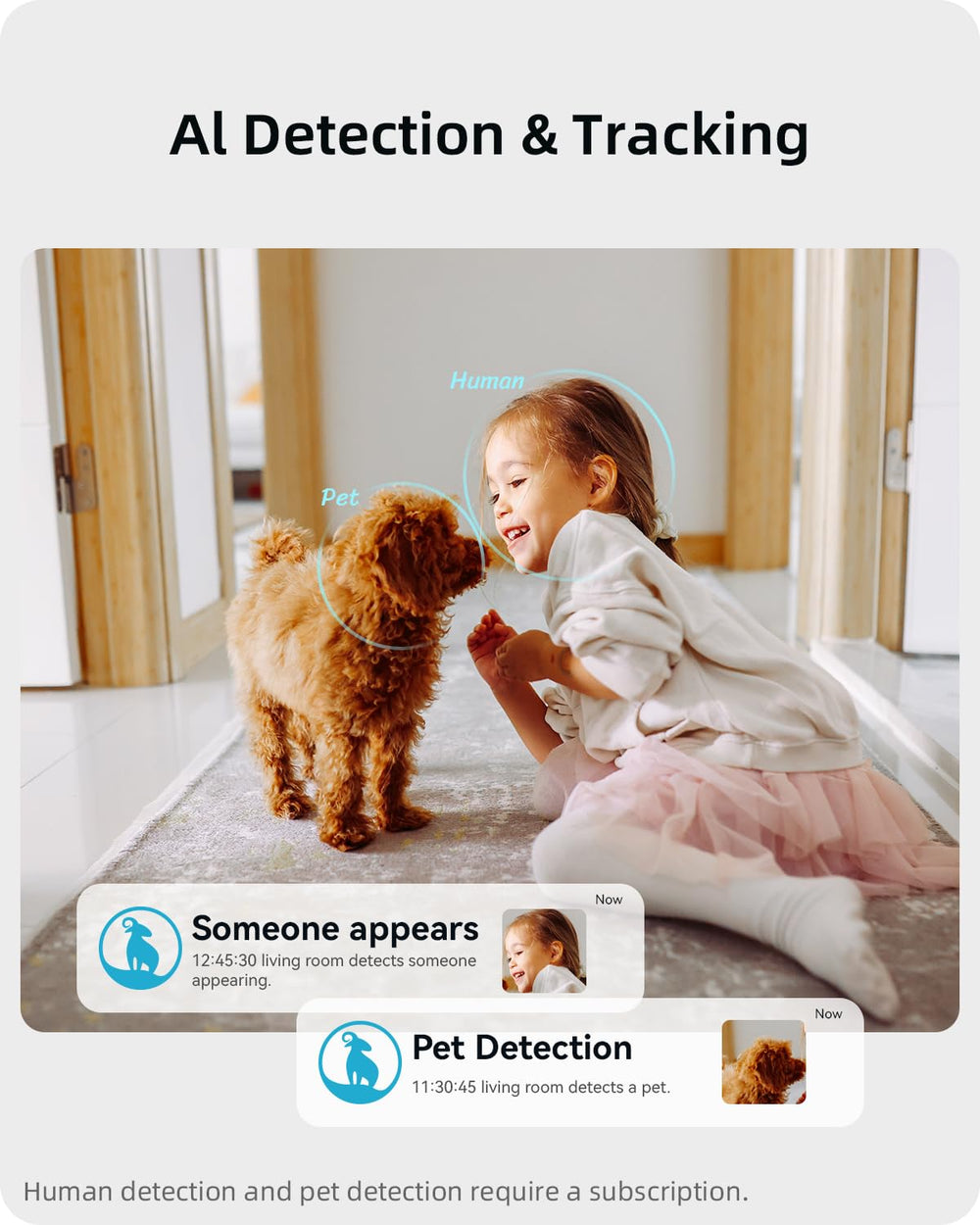 Blurams AI detection alerts notify motion or people for immediate awareness