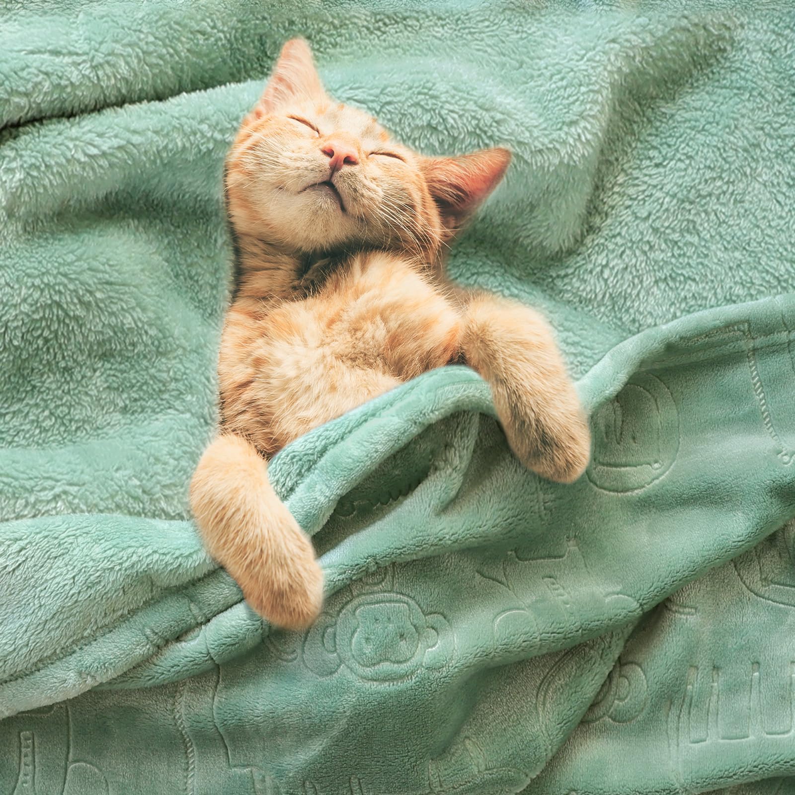 BORITAR blanket with animal-print design adding playful style.