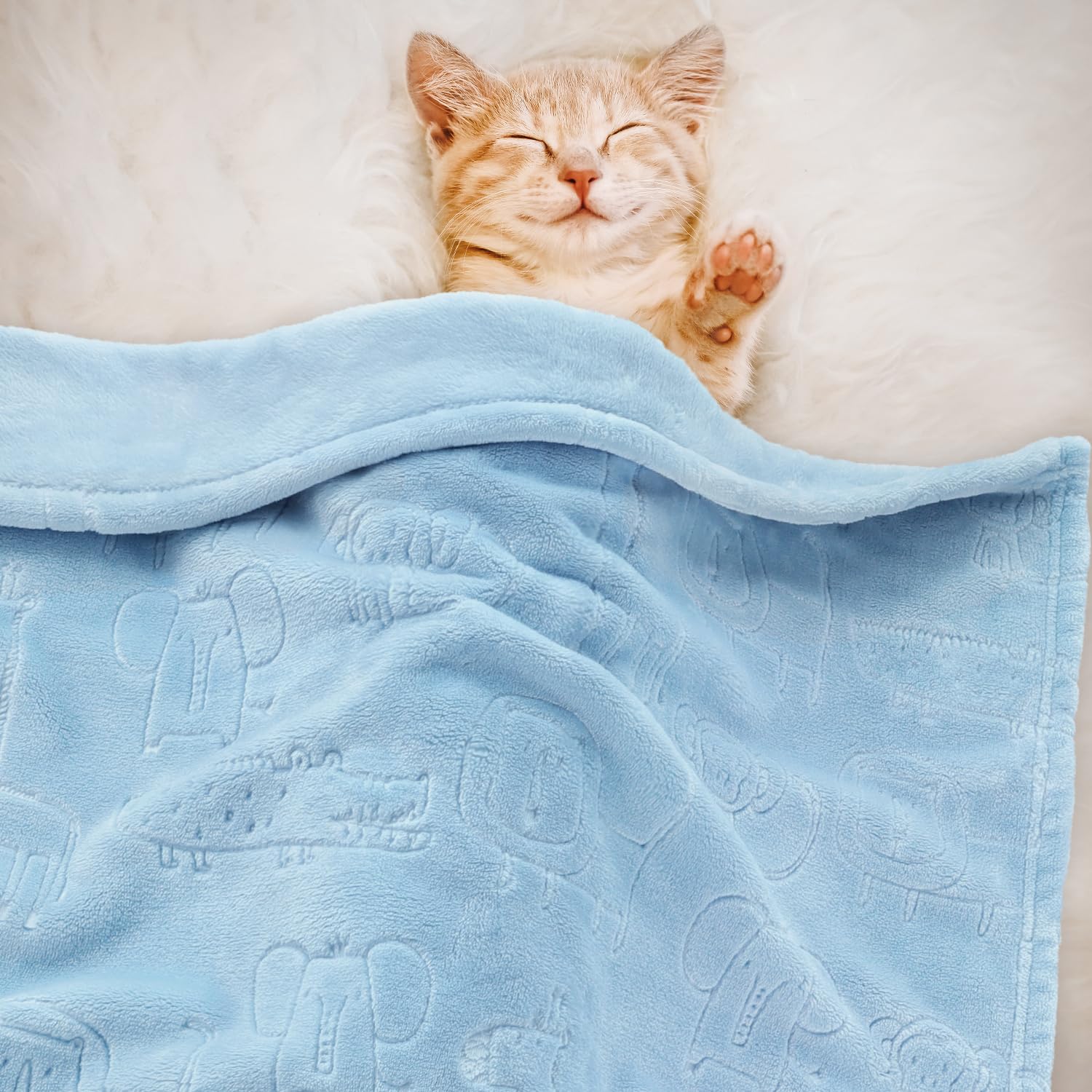 BORITAR animal-print blanket adds cute outings style.