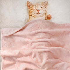 BORITAR baby blanket stroller-crib-use demonstrates multi-purpose comfort during travel.