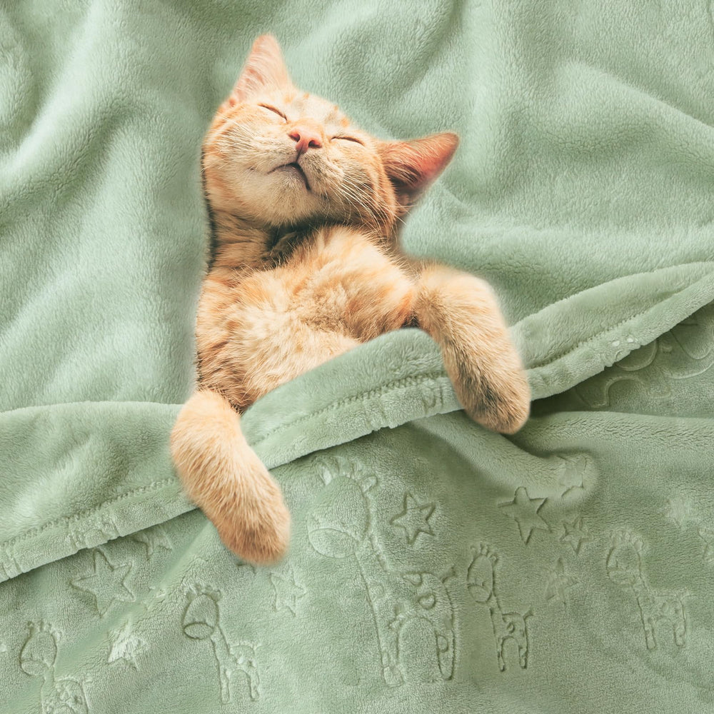 BORITAR easy-care fleece blanket remains soft after washing