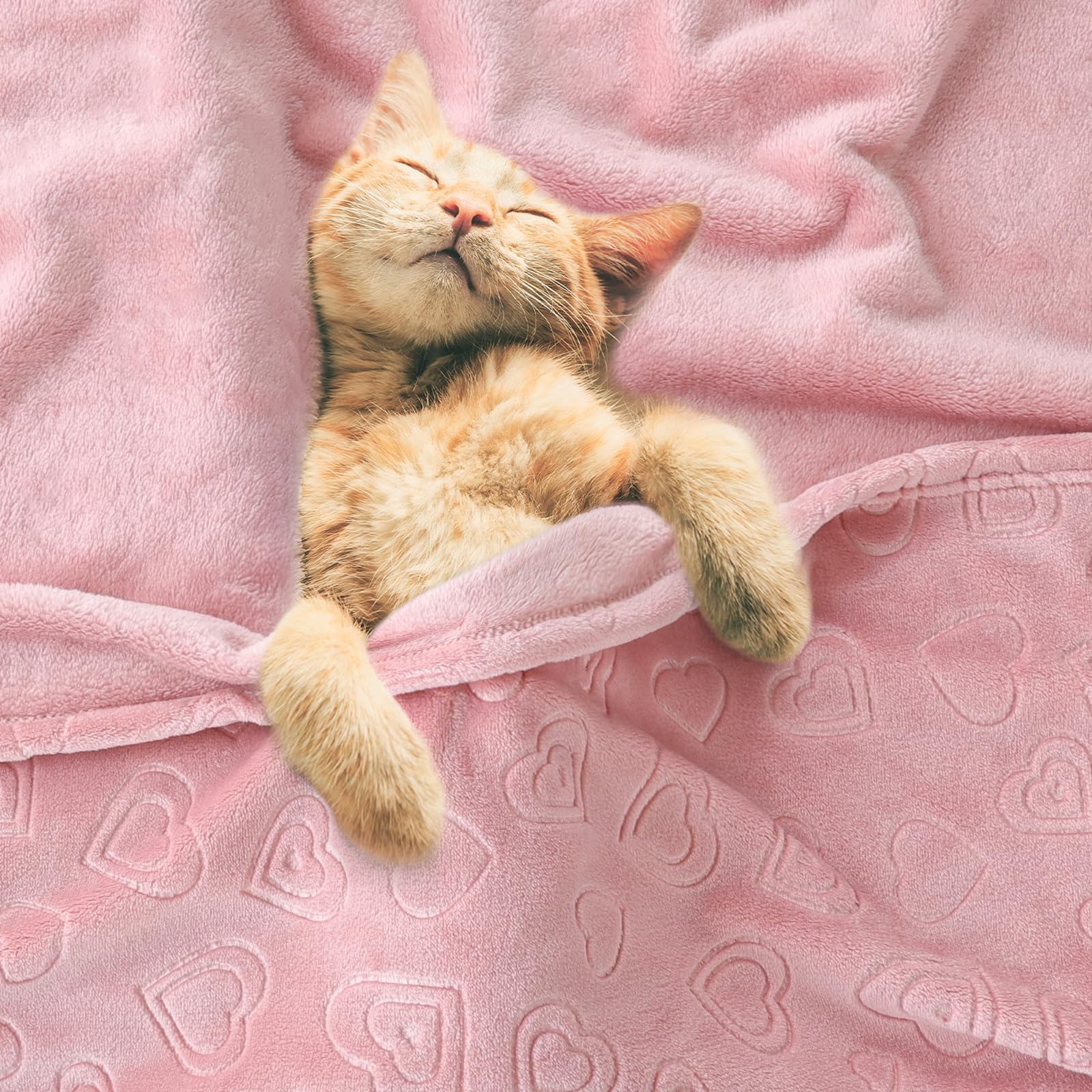 BORITAR folded-compact blanket ready for travel and storage